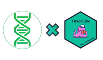Overview diagram of the TaxoFlow metagenomics pipeline, from raw FASTQ reads to taxonomic profiles, diversity plots, and interactive reports