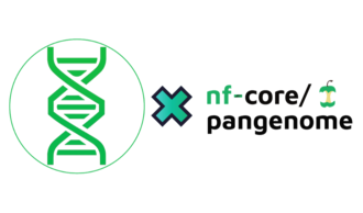 Overview diagram of the nf-core/pangenome pipeline, from raw FASTA files to ODGI graphs