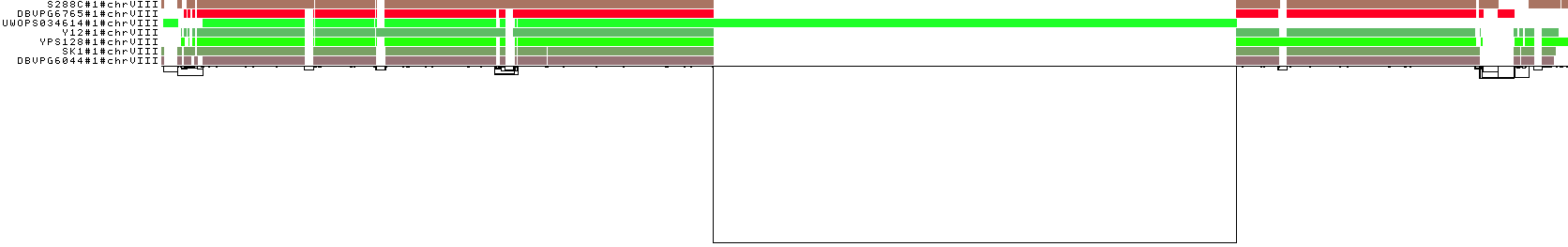 ODGI 1D visualization of the yeast chromosome VIII pangenome graph, showing the private UWOPS034614 block